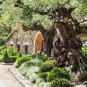 Domaine Les Mesanges Guest house